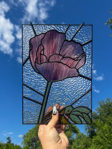 Purple Poppy Stained Glass